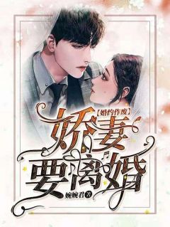 苏牧婉陆景年小说免费试读|《婚约作废，***要离婚》已上线小说