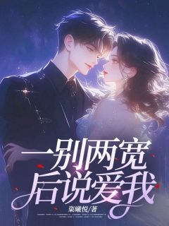 《一别两宽后说爱我》韩芷欣江浩章节免费试读