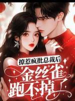 温婉蒋白小说免费试读|《撩惹疯批总裁后，金丝雀跑不掉了》小说在线免费阅读章节
