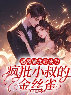逃离缅北后成为疯批小叔的金丝雀婉婉封奕森康铭全文在线免费阅读