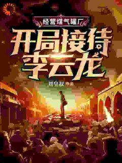 经营煤气罐厂，开局接待李云龙小说全文精彩章节在线阅读（林霄李云龙）