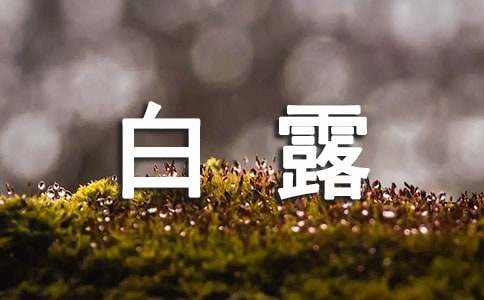 白露发朋友圈句子