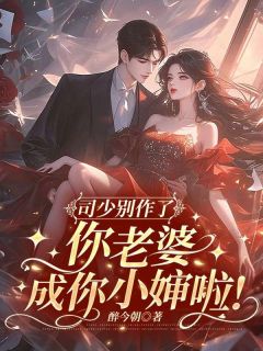 司少别作了，你老婆成你小婶啦！宋祁念司晏城小说精彩章节免费试读