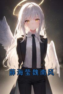 魏南风薛海莹小说结局|《薛海莹魏南风》小说全本阅读