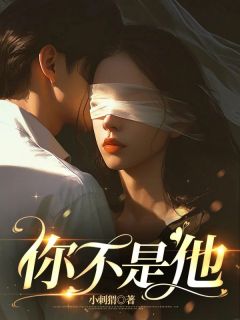 主角白雪沈宇的小说名字|《你不是他》无错版