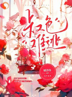叔色难逃江柒茗贺政屿全本小说免费阅读