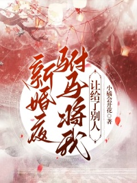 主角昭昭苏恒的小说名字|《新婚夜，驸马将我让给了别人》小说目录在线阅读