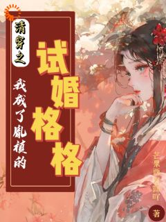 主角是安然胤禛的小说免费阅读|安然胤禛小说主角