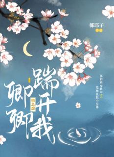 顾南卿墨尘翎小说主角|顾南卿墨尘翎是哪本小说主角