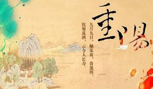 重阳节三年级日记