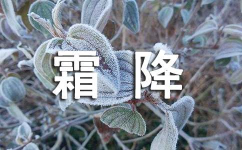 霜降寄语简短（精选250句）