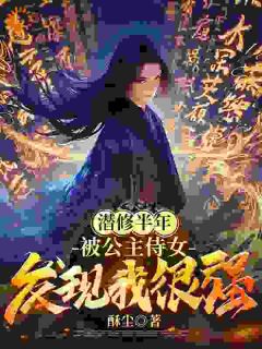 《潜修半年，被公主侍女发现我很强》小说章节列表在线阅读|苏尘玄映雪小说阅读