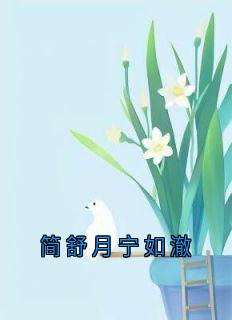简舒月宁如澈小说免费阅读|简舒月宁如澈小说大结局免费试读