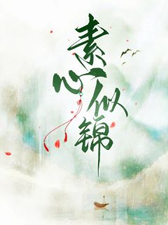 小说主角名叫素锦林婉|素锦林婉是哪本小说主角