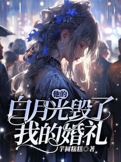 小说他的白月光毁了我的婚礼|洛娇娇孟子琅精彩阅读大结局