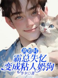 《离婚时，霸总失忆变成粘人奶狗》小说大结局免费试读|江雩陆迟小说全文