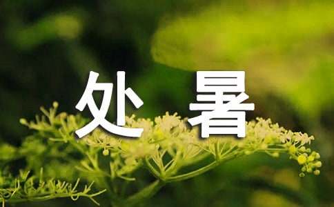 处暑节气暖心祝福寄语 处暑节气的文案句子