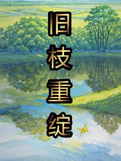 旧枝重绽何枝何木岑小说完整篇在线阅读