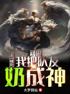 《网游：第一辅助，我把队友奶成神》最新章节免费阅读（完整版未删节）