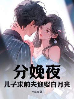 《分娩夜，儿子求前夫迎娶白月光》最新章节列表|第4章