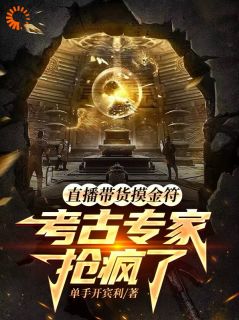 陈一白王海川小说直播带货摸金符，考古专家抢疯了全文全文无弹窗阅读