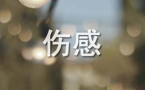【热门】伤感个性句子99句