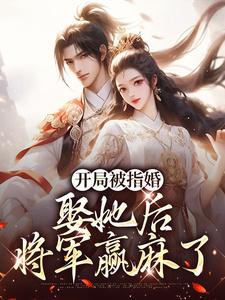 萧政江预章节目录|《开局被指婚，娶她后将军赢麻了》全文阅读