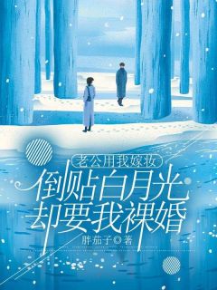 精品《老公用我嫁妆倒贴白月光，却要我裸婚》小说免费试读|沈清妍任时羽小说全集无删减全文