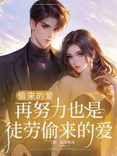 吴悠林泽小说|《偷来的爱，再努力也是徒劳》无错版