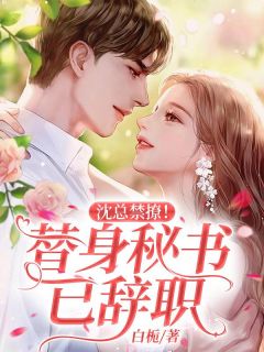 祝茵沈南笙是哪部小说的主角|主角叫祝茵沈南笙的小说