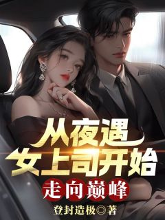 【火爆言情热文】从夜遇女上司开始，走向巅峰左开宇沈南星小说全文免费试读