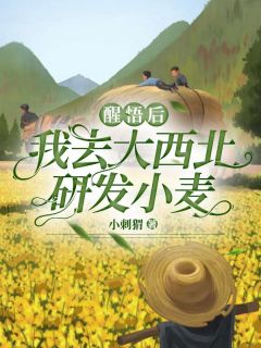 陈美玲秦长风小说无删节|《醒悟后，我去大西北研发小麦》小说无删减