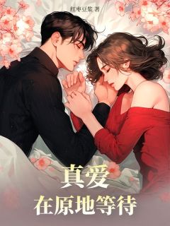 完结小说《真爱在原地等待》唐景轩叶安苏柔安全文未删节免费试读