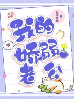 林晚晚苏暮为主角的小说叫什么名字|林晚晚苏暮为主角的小说