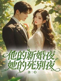男女主宋晚星林朝序的小说名字|《他的新婚夜，她的死别夜》小说全本阅读