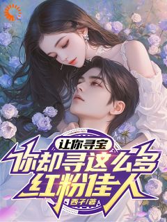 《让你寻宝，你却寻这么多红粉佳人》小说目录在线阅读|潘小伟周小琴小说无广告