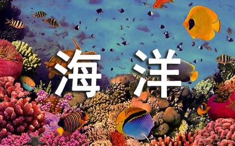 描写海洋动物的优美句子