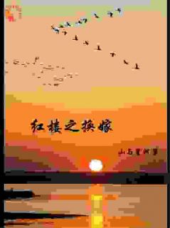 贾敏贾妍小说免费试读|《红楼之换嫁》全集阅读