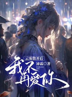 云雾散开后，我不再爱你宋临川林轻轻小说全文章节阅读|云雾散开后，我不再爱你免费完整版