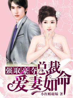 林琰琰景辰完结版|《强取豪夺，总裁爱妻如命》无错版