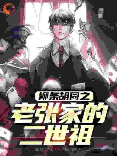 《柳条胡同之老张家的二世祖》小说精彩阅读|张天明张天禹小说无删节