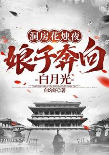 主角是李九霄林诗薇的小说免费阅读|李九霄林诗薇主角的小说