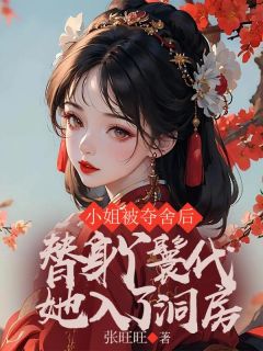 《小姐被夺舍后，替身丫鬟代她入了洞房》小说全集免费在线阅读（阿云霍悉彦）