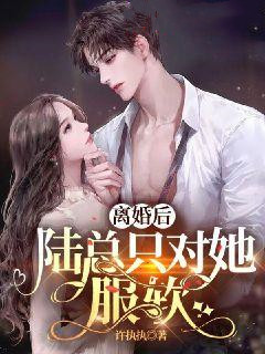 离婚后，陆总只对她服软小说江暖陆司聿无错版阅读
