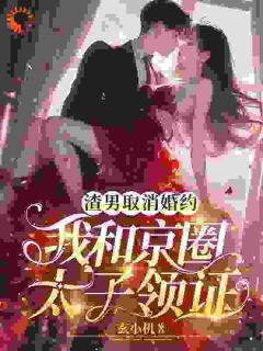 [渣男取消婚约，我和京圈太子领证]陆满星沈彦小说全文章节目录免费试读