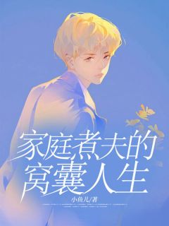 家庭煮夫的窝囊人生完整版全文阅读|江天宇许胜楠|大结局