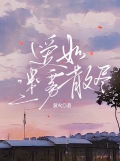 《爱如迷雾散尽》陈落落宋淮之完结版精彩阅读