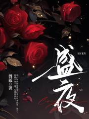 简***肖神小说无删节|《盛夜》新书在线阅读