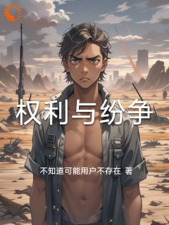 《权利与纷争》全集阅读|黎明吴海波小说无广告