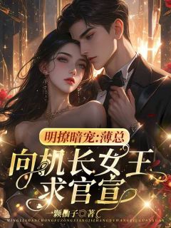主角盛娆薄京臣的小说名字|《明撩暗宠：薄总向机长女王求官宣》已上线小说